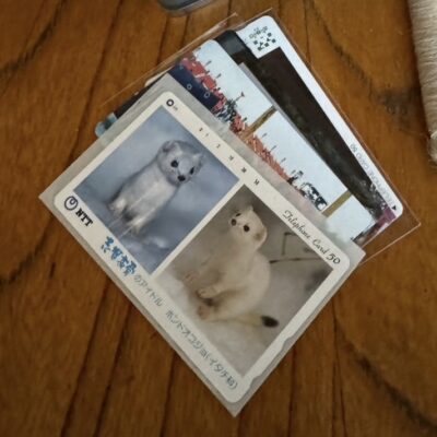 テレフォンカードをお買取りさせて頂きました